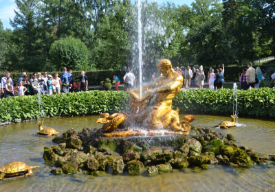 DSC 0593
