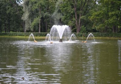 DSC 0686