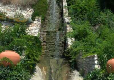 DSC 1551