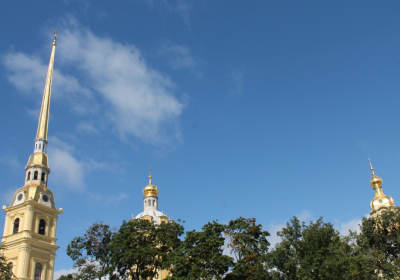 IMG 7982